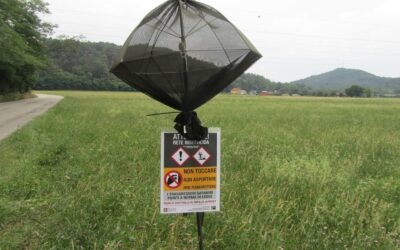 Case Study: Trappole a rete insetticida contro la Popillia Japonica